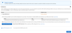Route 53 DNS verification